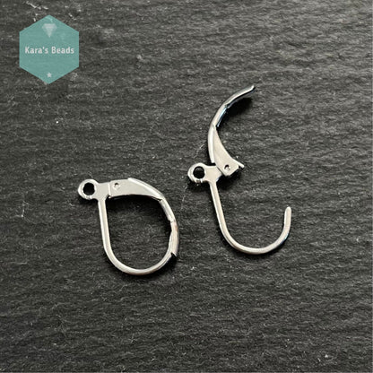 Lever back Earring Findings Stainless Steel 1 pair
