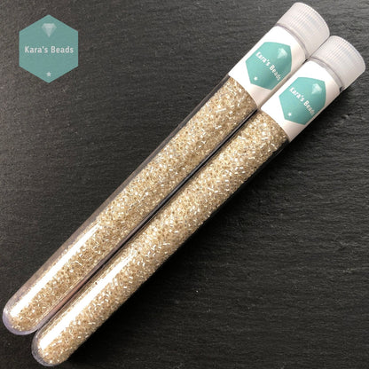 22g Tube 11/0 Miyuki Delica DB041 Silver Lined Crystal