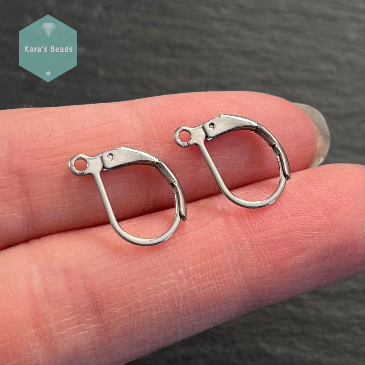 Lever back Earring Findings Stainless Steel 1 pair